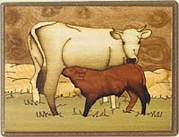 clicca per vedere l'immagine a tutto schermo (35KB)